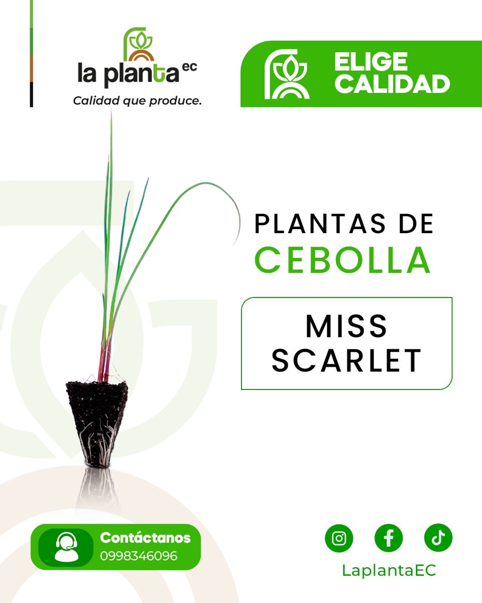 Galería de plantas La Planta EC