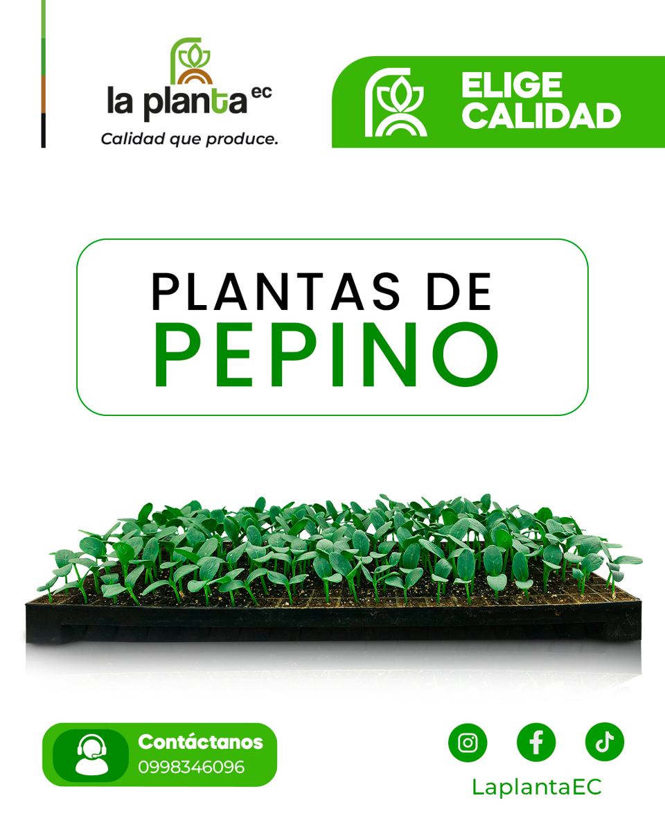Galería de plantas La Planta EC