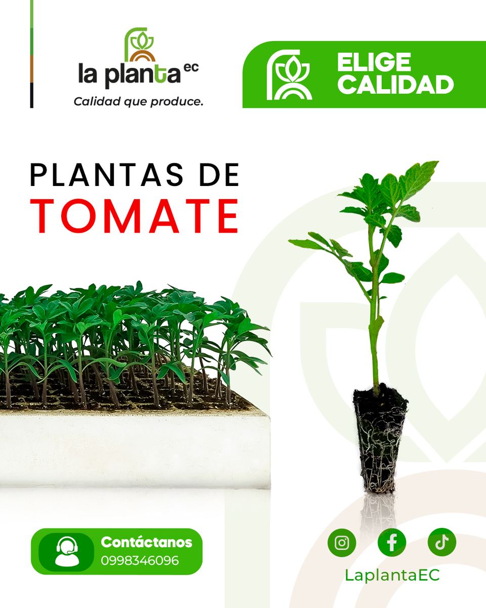 Galería de plantas La Planta EC